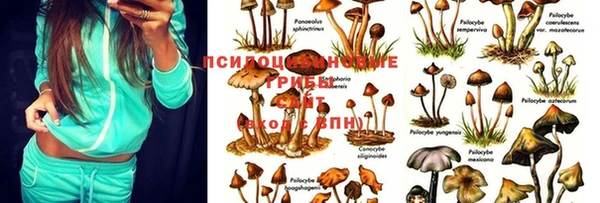 метадон Арсеньев