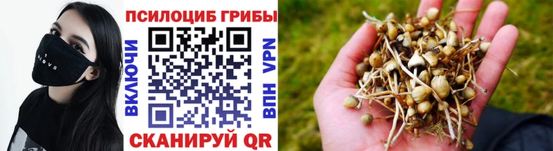 Псилоцибиновые грибы Magic Shrooms  Сольвычегодск 